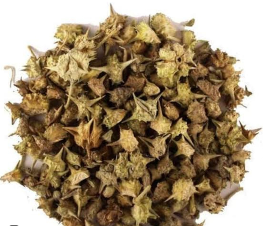 GOKHRU (TRIBULUS TERRESTRIS)