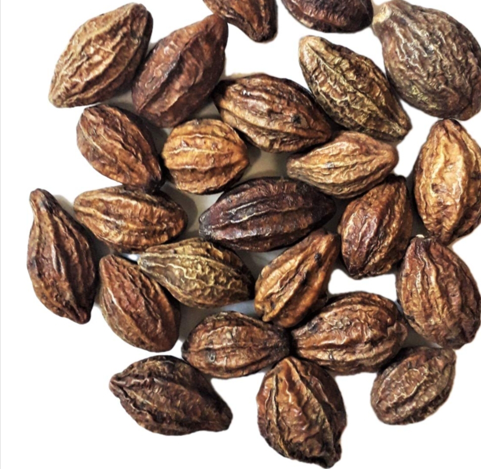 HARAD (TERMINALIA CHEBULA)